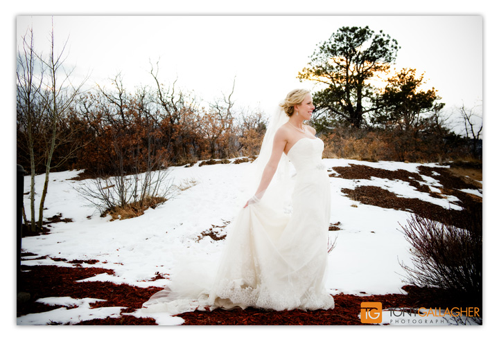 Denver Wedding Photography - Wedding of Elizabeth and Eric